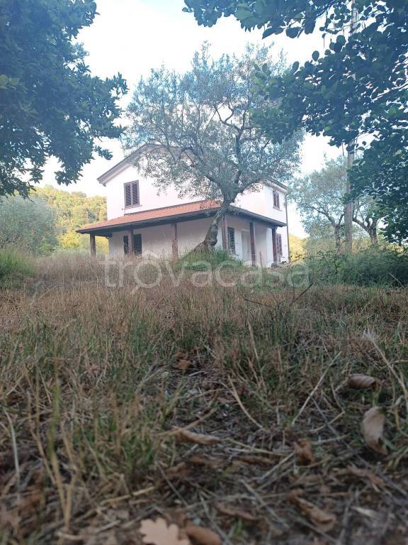 casa indipendente in vendita a Rivello