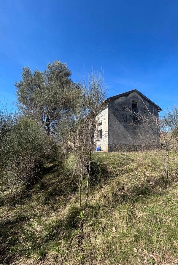casa indipendente in vendita a Rivello