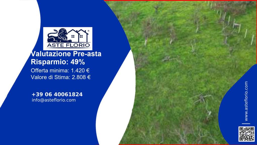 terreno agricolo in vendita a Rivello