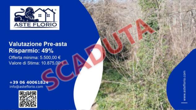 terreno agricolo in vendita a Rivello