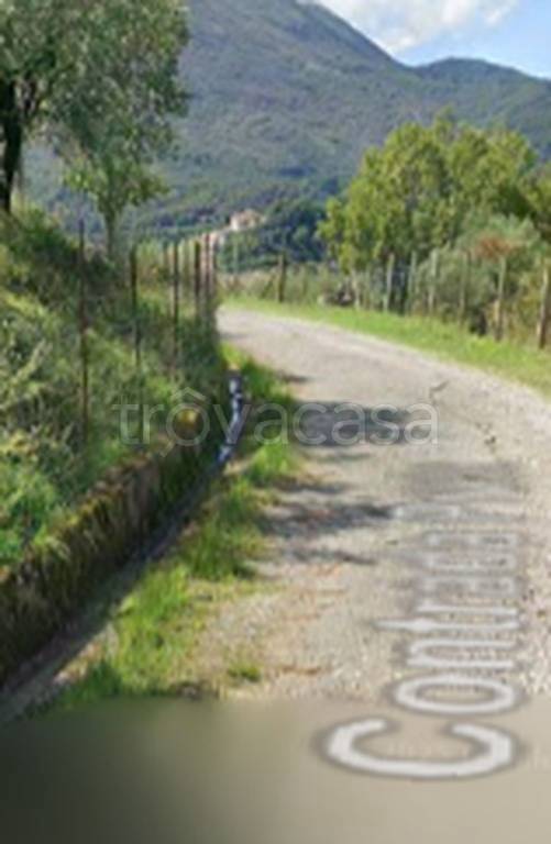terreno agricolo in vendita a Rivello