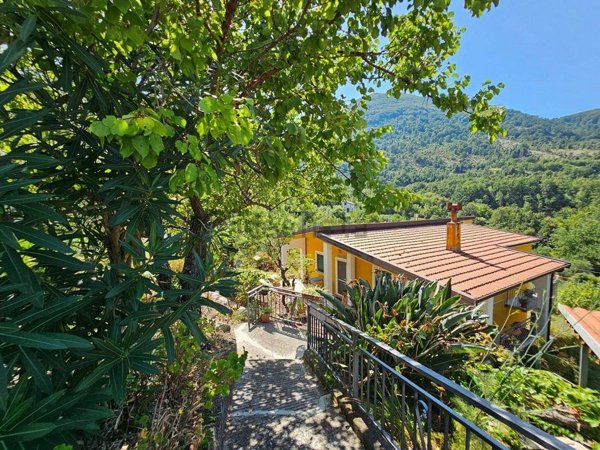 casa indipendente in vendita a Rivello
