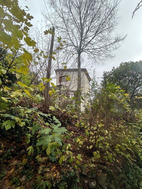 appartamento in vendita a Rotonda