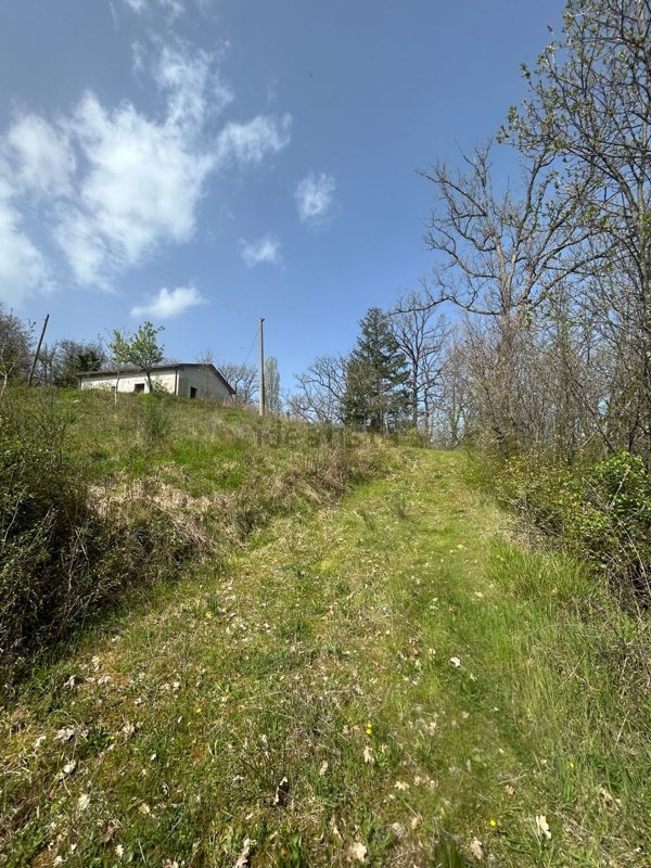 pentavano in vendita a Rotonda