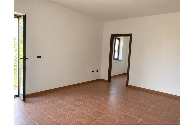 casa indipendente in vendita a Rotonda