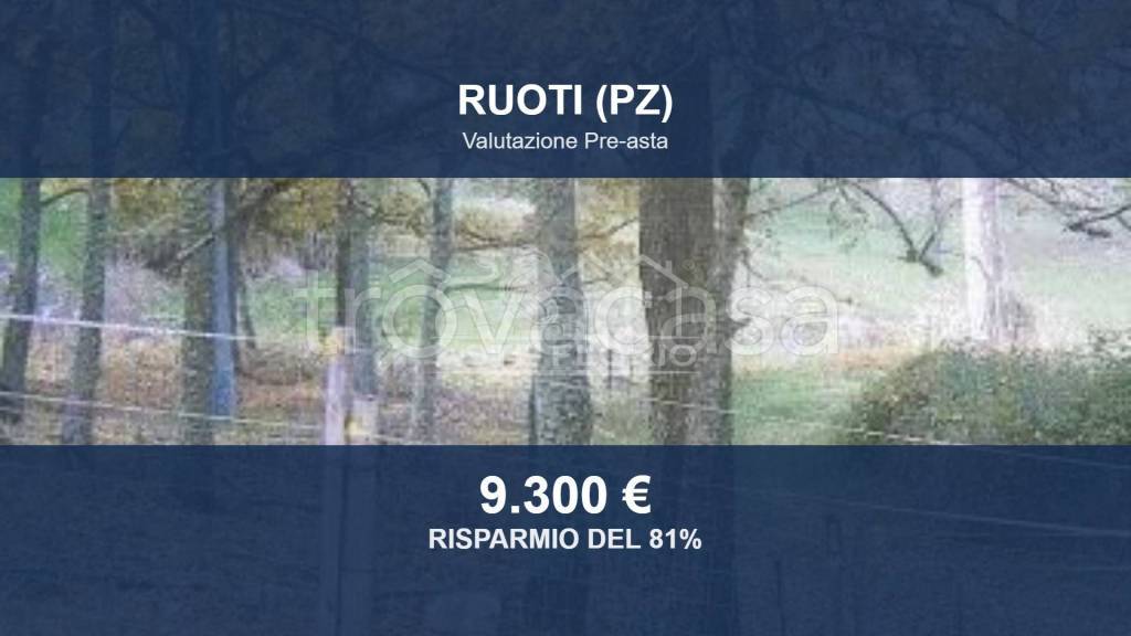 terreno agricolo in vendita a Ruoti