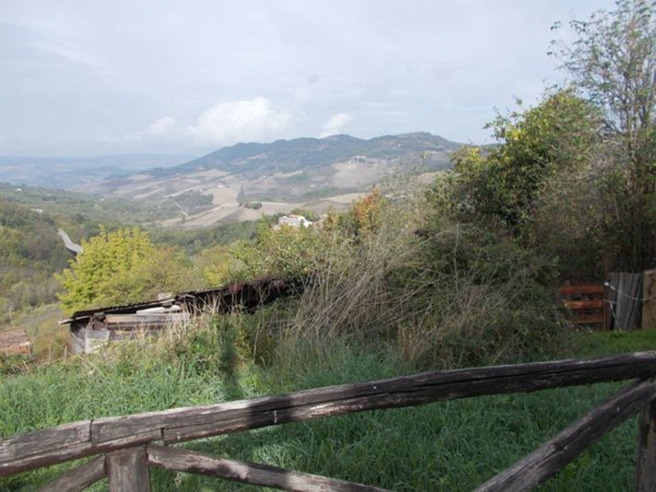 appartamento in vendita a Ruvo del Monte