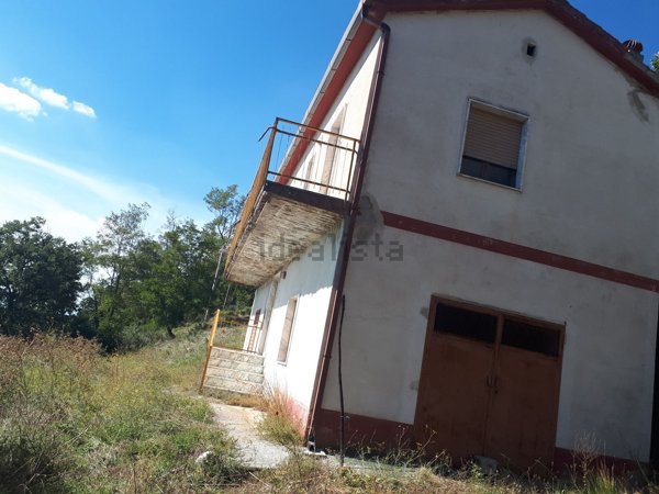 pentavano in vendita a Ruvo del Monte