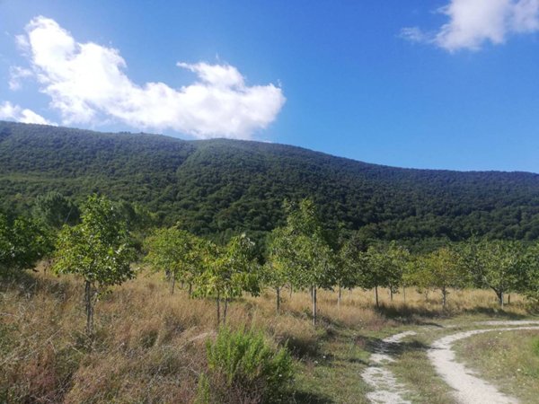 casa indipendente in vendita a San Fele