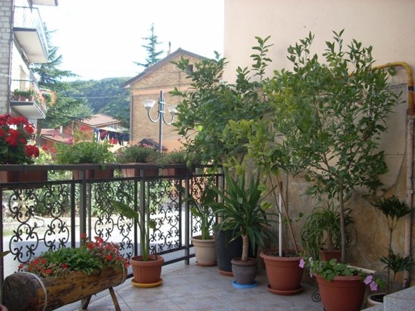 appartamento in vendita a San Fele