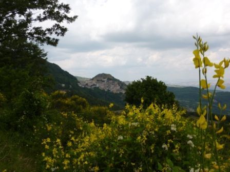 appartamento in vendita a San Fele