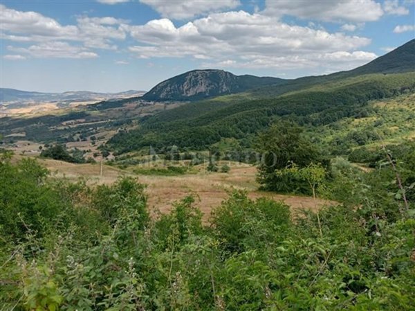 terreno agricolo in vendita a San Fele