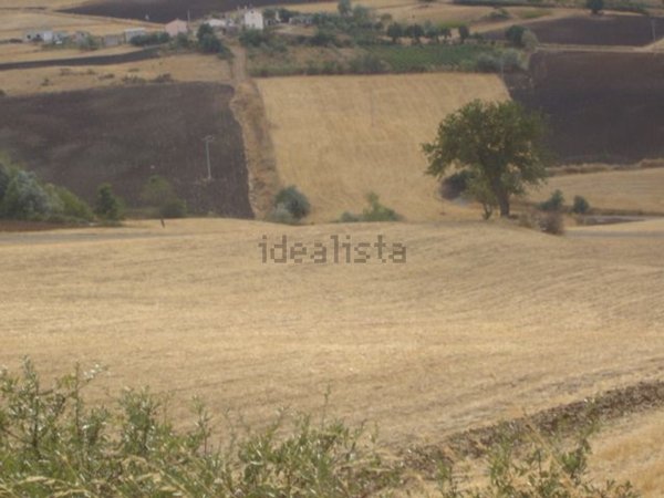 terreno agricolo in vendita a San Fele