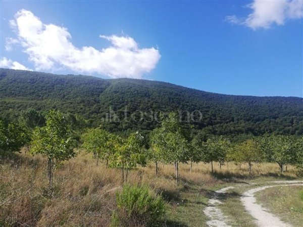 casa indipendente in vendita a San Fele in zona Montagna