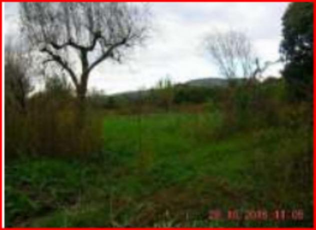 terreno agricolo in vendita a Sant'Arcangelo