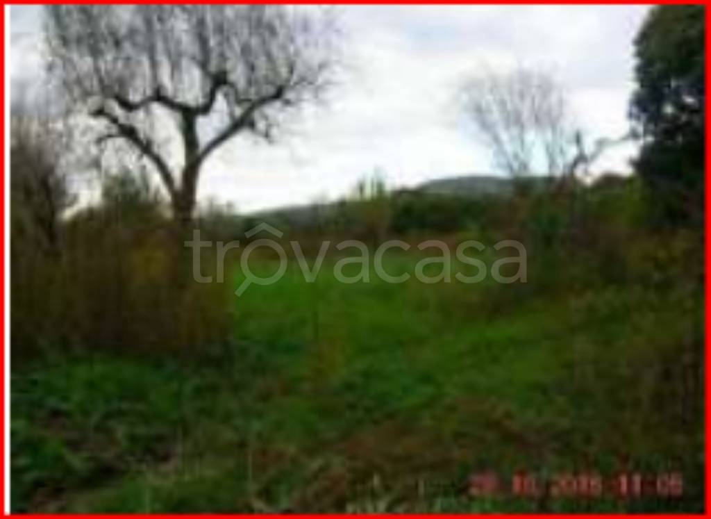 terreno agricolo in vendita a Sant'Arcangelo