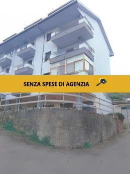 immagine annuncio 0 di 7
