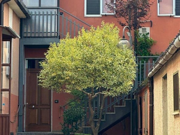 appartamento in vendita a Tito