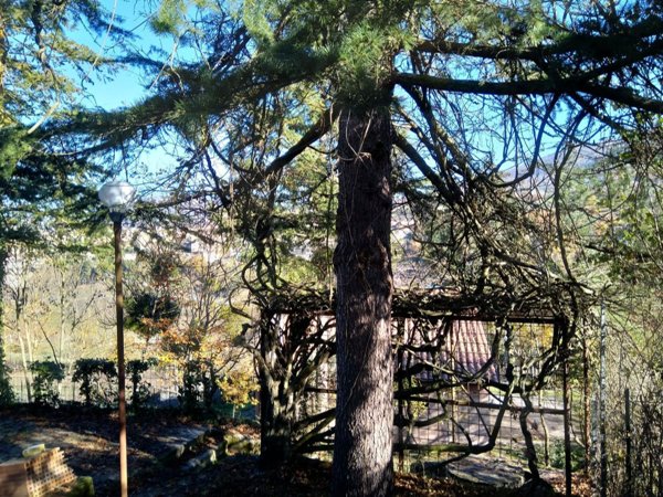 casa indipendente in vendita a Tito