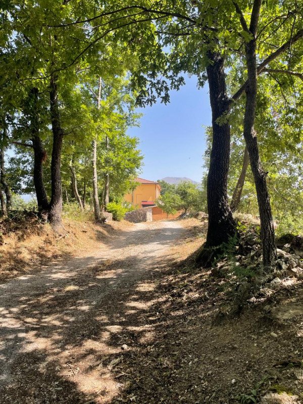 casa indipendente in vendita a Tramutola