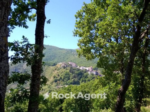 terreno agricolo in vendita a Trecchina
