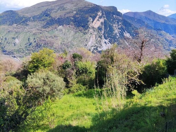 appartamento in vendita a Trecchina