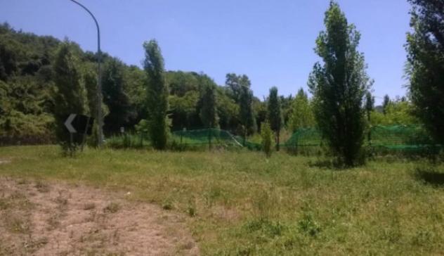 terreno agricolo in vendita a Trecchina in zona Parruta