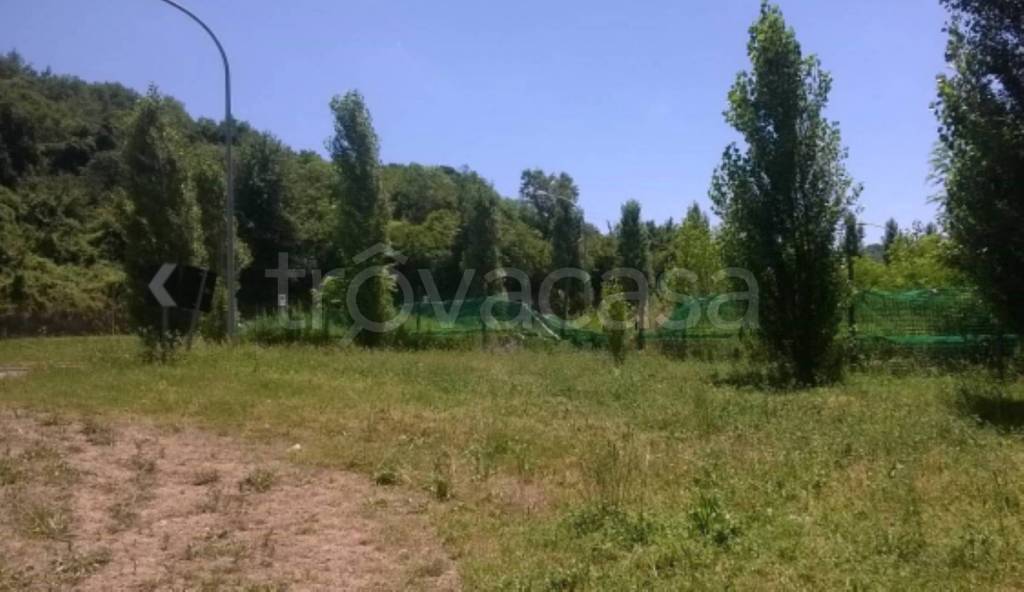 terreno agricolo in vendita a Trecchina in zona Parruta