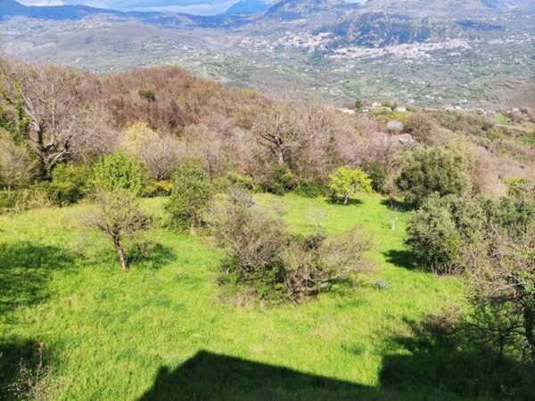 appartamento in vendita a Trecchina
