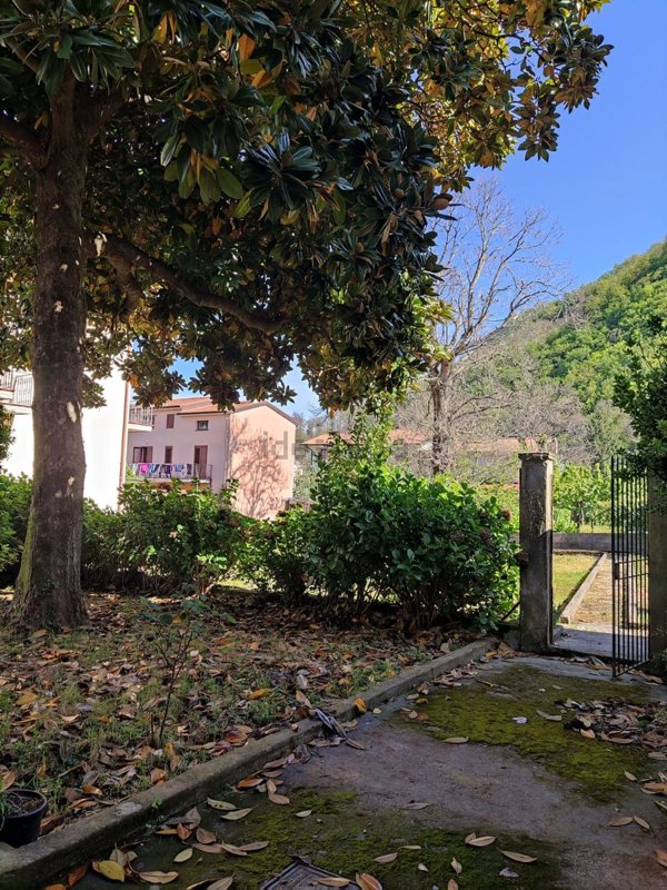 casa indipendente in vendita a Trecchina