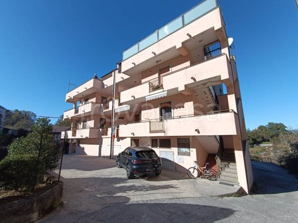 appartamento in vendita a Trecchina