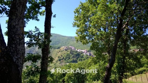 terreno agricolo in vendita a Trecchina