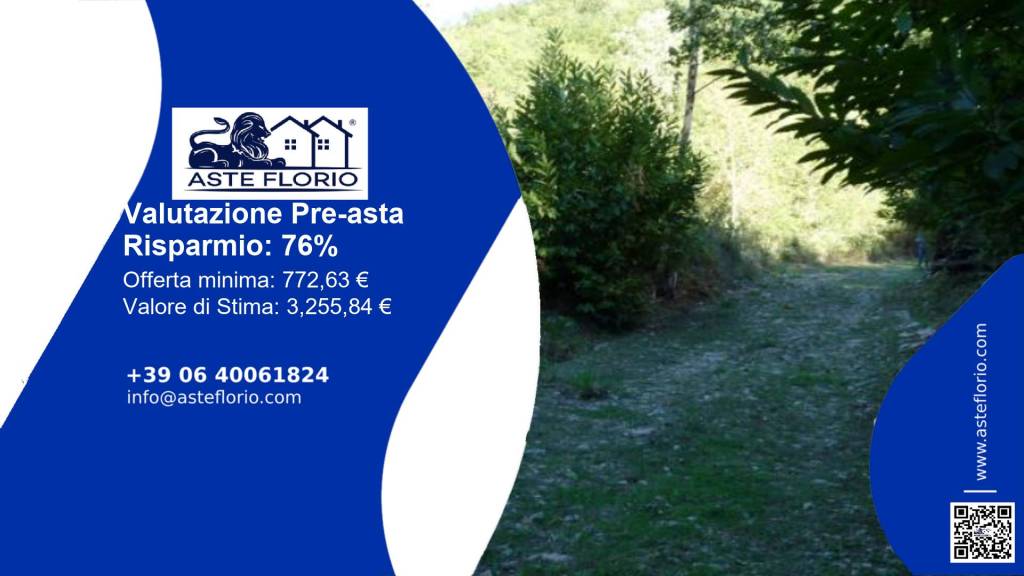 terreno agricolo in vendita a Trecchina