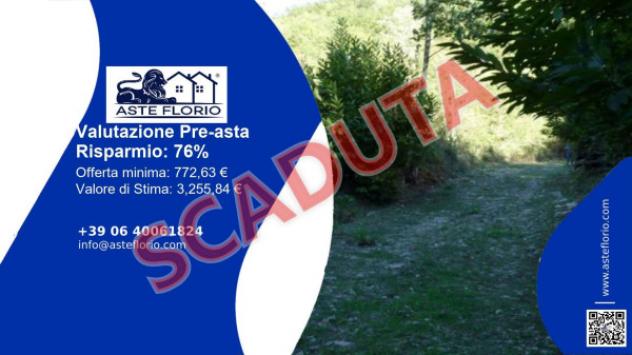 terreno agricolo in vendita a Trecchina