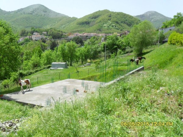 casa indipendente in vendita a Trecchina