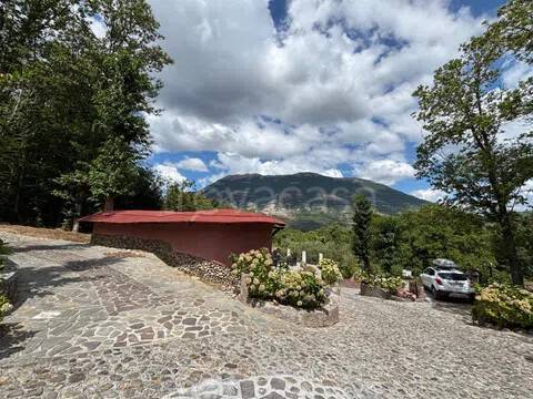 casa indipendente in vendita a Trecchina