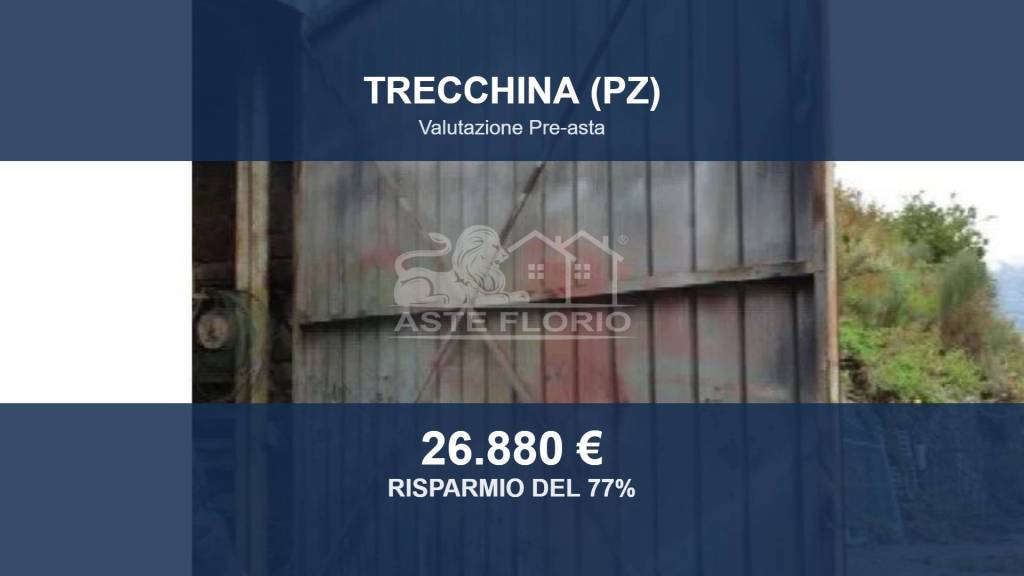 locale commerciale in vendita a Trecchina