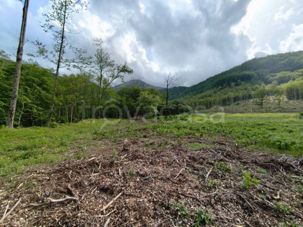 terreno agricolo in vendita a Trecchina in zona Bolago