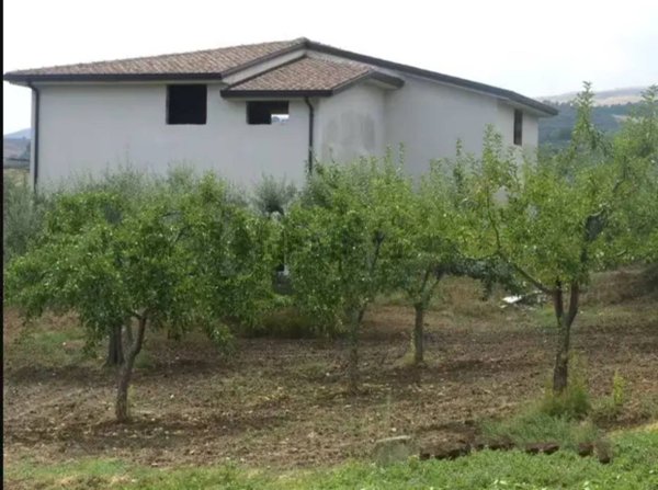 casa indipendente in vendita a Venosa