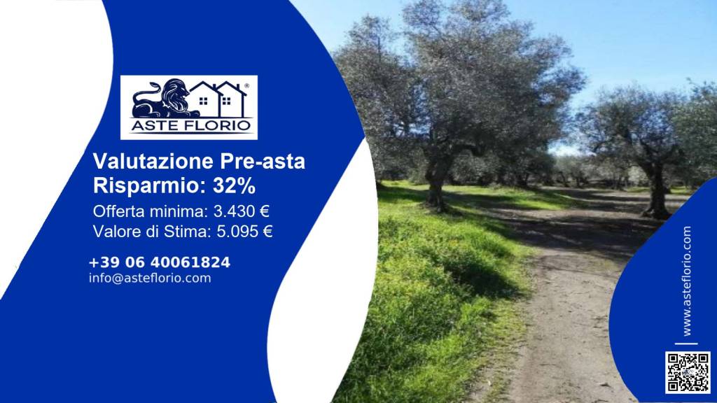 terreno agricolo in vendita a Venosa