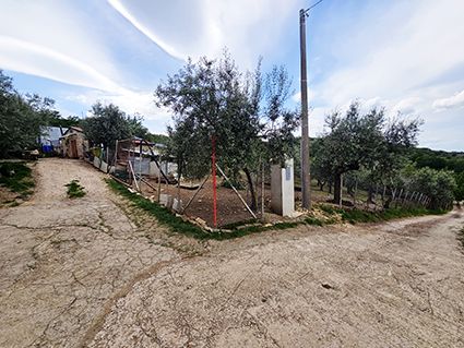 casa indipendente in vendita a Venosa