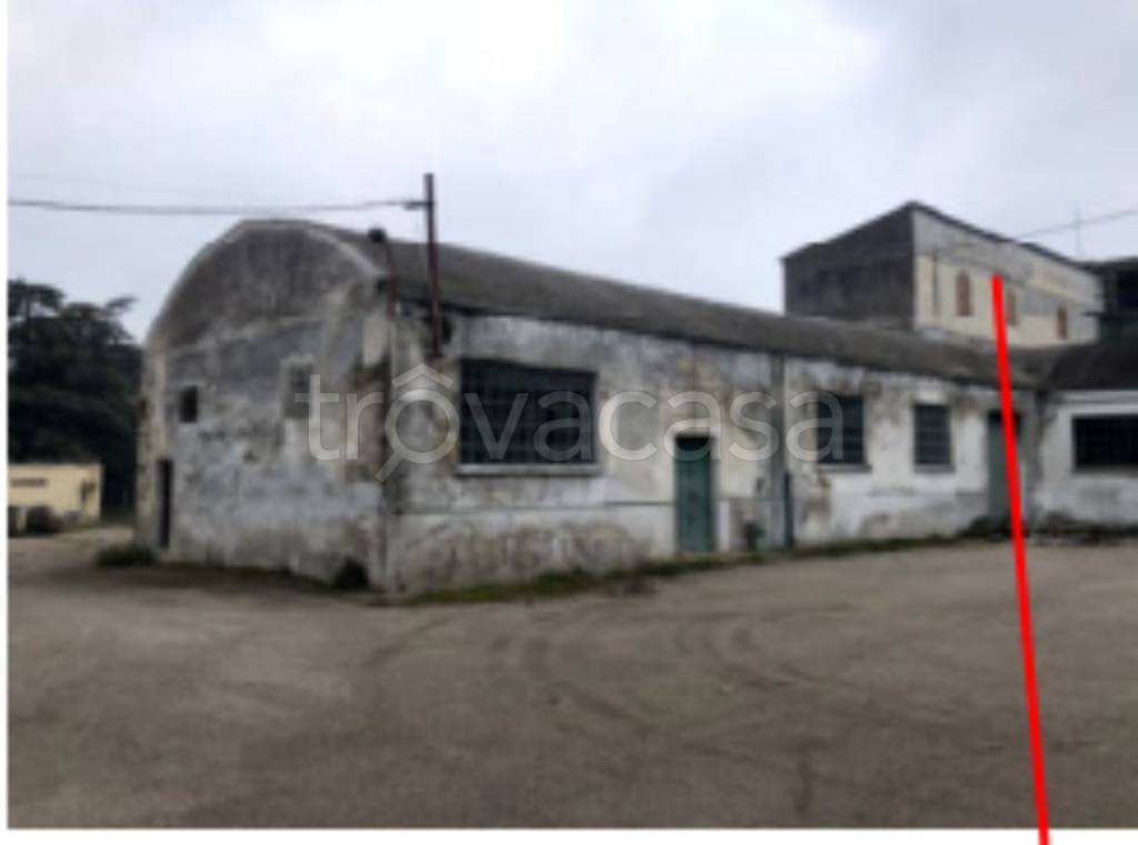 locale commerciale in vendita a Venosa