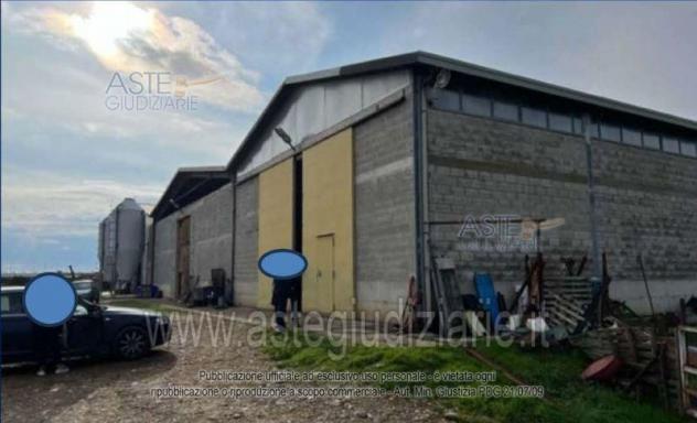 terreno agricolo in vendita a Venosa
