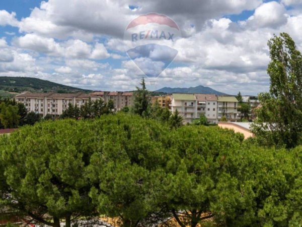 appartamento in vendita a Venosa