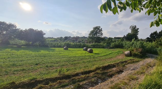 casa indipendente in vendita a Venosa