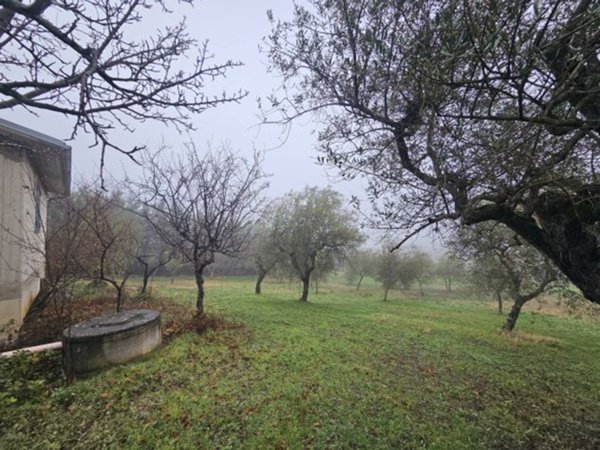 terreno agricolo in vendita a Venosa