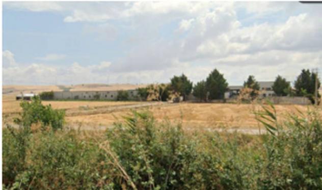 terreno agricolo in vendita a Venosa