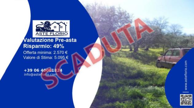 terreno agricolo in vendita a Venosa