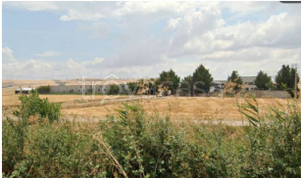 terreno edificabile in vendita a Venosa