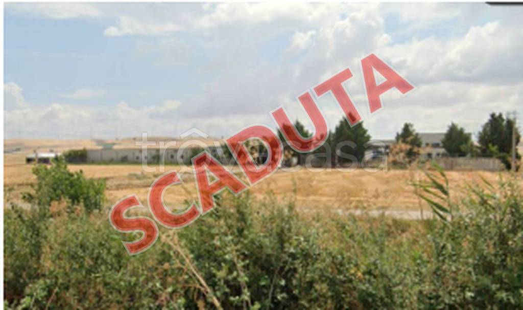 terreno edificabile in vendita a Venosa